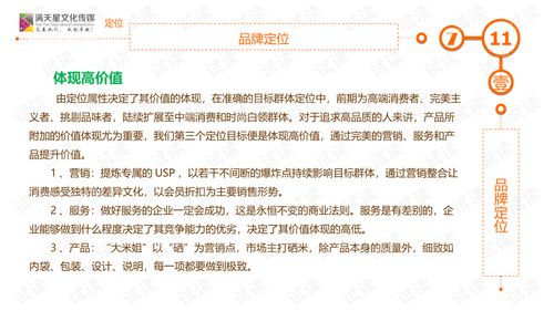 大米姐品牌营销策划书