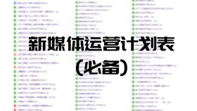 品牌营销市场策划推广宣传执行流程工作计划方案模板